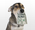 Need Extra Cash?