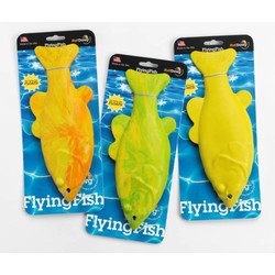 FlyingFish - 12/Case