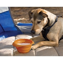KURGO COLLAPS-A-BOWL FOR PET TRAVEL - **3 colors Orange, Blue, or Red **