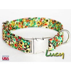 Lucy Collar/Lead