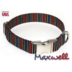 Maxwell Collar/Lead