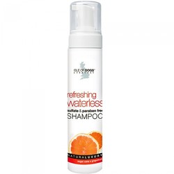 Refreshing Waterless Shampoo  -  9oz
