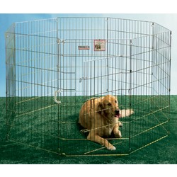 Silver Exercise Pen Top W/Snaps (Boxed)