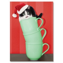 Christmas Card - Black Cat in Mug