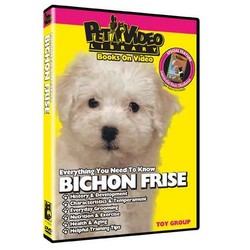 Bichon Frise - Everything You Should Know