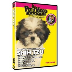 Shih Tzu - Everything You Should Know