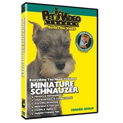 Miniature Schauzer - Everything You Should Know