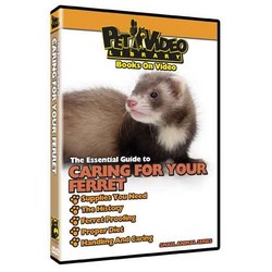 Caring for Your Ferret