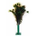 Natural Peacock Feathers - Sold by the case only<br>Item number: I