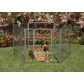 38" Courtyard Kennel - Silver Crackle<br>Item number: 1236-12575DI