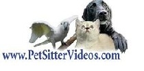 Pet Sitter Videos