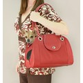 Small Open Pet Tote - Black, Tan, or Red