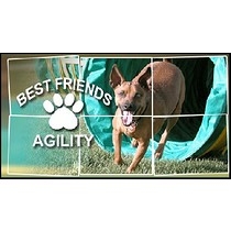 Best Friends Agility, LLC