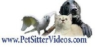 Pet Sitter Videos