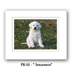 "Innocence" Double Matted Prints 16X20