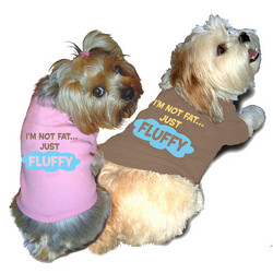 Doggie Sweatshirt - I'm Not Fat......Just Fluffy