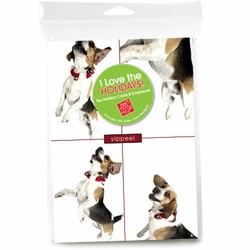 Consumer Friendly 10-pack - Beagle Jumping 4 squares