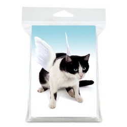 Cat Mini blank card pack #1