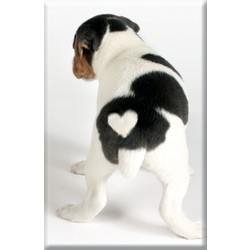 Heart Puppy Metal Magnets
