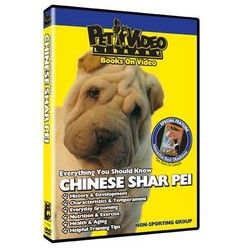 Chinese Shar-Pei - Everything You Should Know