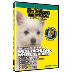 West Highland White Terrier - Everything You Should Know