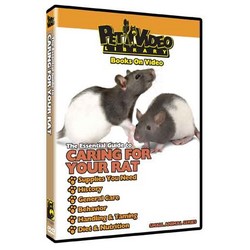 Caring for Your Rat