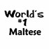 1_maltese_lg.jpg