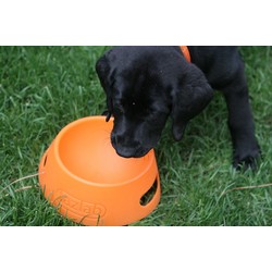 Aqua-Fur Travel Dog Bowl