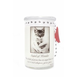 28oz Soy Blend Jar Candle - Cinnamon Vanilla