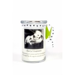 28oz Soy Blend Jar Candle - Juicy Apple