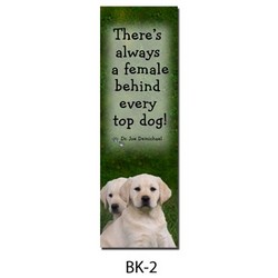 Dr Joe's Bookmark # 2