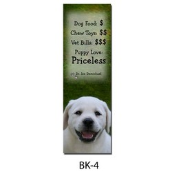 Dr Joe's Bookmark # 4