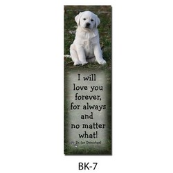 Dr Joe's Bookmark # 7