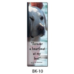 Dr Joe's Bookmark # 10