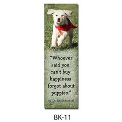 Dr Joe's Bookmark # 11