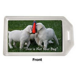 Dr D's Luggage & Kennel I.D. Tags 6