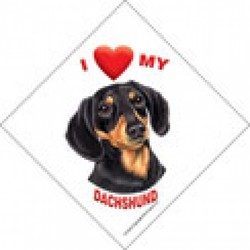 Auto Attitudes Car Signs with suction cup - 6 per case (Breeds D-P)