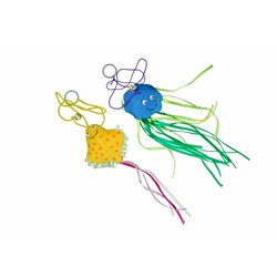 Ocean Kitty Toys