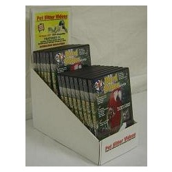 Single Counter Display Option 1