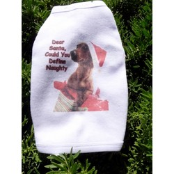 "Dear Santa, Could You Define Naughty" Tank top