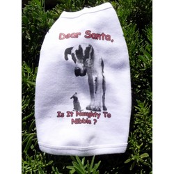 Dear Santa, Is it Naughty to Nibble? Dog Tank Top