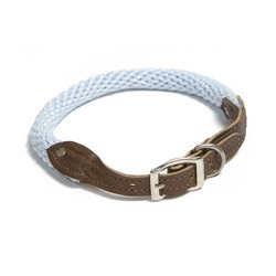 COLLARZ 5/8" diameter x 18", 20", 22", 24" - Spring Colors