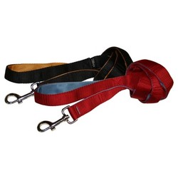 KURGO WANDER LEASH
