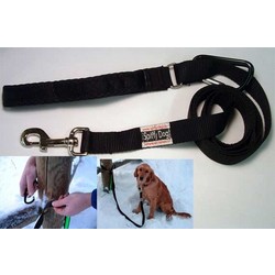 Let 'em Lead Dog Leash - 6' L x 3/4" W