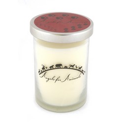 12oz Soy Blend Jar Candle - Cinnamon Vanilla