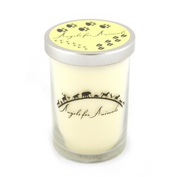 12oz Soy Blend Jar Candle - Iced Lemon Biscotti