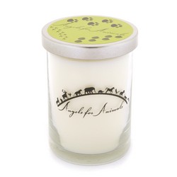 12oz Soy Blend Jar Candle - Juicy Apple