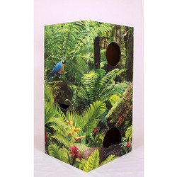 Cat Jungle