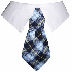 Taylor Shirt Collar