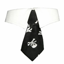 Skull Shirt Collar